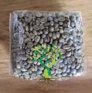 Guatemala Organic Green Coffee Beans