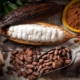 Guatemala Cacao Health Benefits Beans