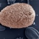 Protozoa harmful to humans?