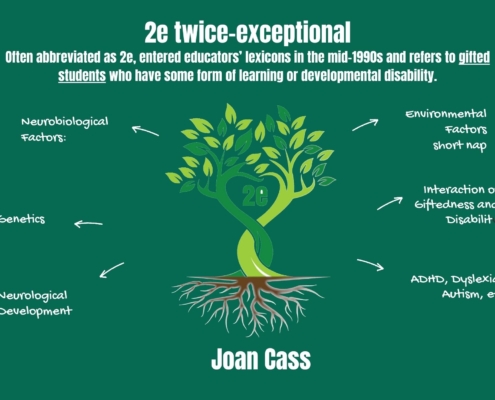 Joan Cass 2e Twice-Exceptional Support
